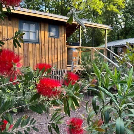 Le Petit Kck - L'agapanthe Casa vacanze *