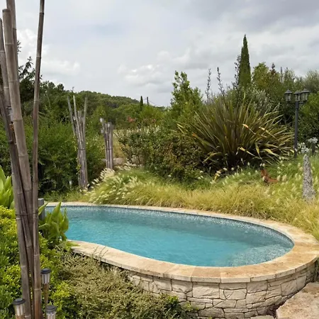 Le Petit Kck - L'agapanthe